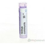 RICINUS COMMUNIS POR 30CH GRA 4G – Hledejceny.cz