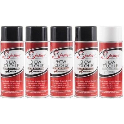Shapley's Touch Up Spray Black 284 g – Zboží Mobilmania