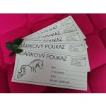 DÁRKOVÝ POUKAZ V HODNOTĚ 2500,-KČ – Hledejceny.cz