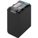 Newell NP-FV100A – Zboží Mobilmania