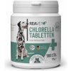 Vitamíny pro psa Reavet Chlorella tablety pro imunitní systém a metabolismus 500 ks