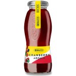 Rauch Brusinka 200 ml – Zboží Dáma