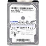 Samsung 80GB PATA IDE/ATA 2,5", HM080GC – Hledejceny.cz