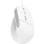 Trust Bayo II Ergonomic Wireless Mouse 25397 – Zboží Živě