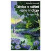 Kniha Dívka s vášní pro indigo - Natasha Boyd