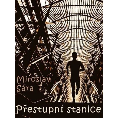 Přestupní stanice - Miroslav Šára