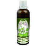 Naděje Pelargonie tinktura z bylin 50 ml – Hledejceny.cz