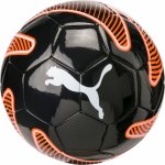 Puma KA Big Cat – Sleviste.cz