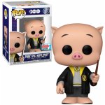 Funko Pop! Harry Potter Harry With Prophecy 9 cm – Zbozi.Blesk.cz