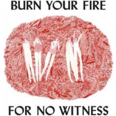 Olsen, Angel - Burn Your Fire For No Wit – Hledejceny.cz