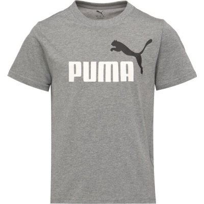 Puma ESSENTIALS 2 COLOR N0 1 LOGO TEE B Chlapecké triko šedá – Zboží Dáma