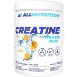 All Nutrition CREATINE Muscle Max 500 g – Sleviste.cz