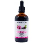 Botanicals 4 life Bylinná tinktura z extraktů echinacey a černého bezu 100 ml – Hledejceny.cz