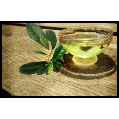 Fichema Tea Tree oil 100% čistý čajovníkový olej 50 ml – Zboží Mobilmania
