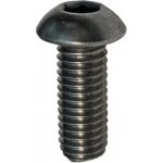 Hahn Steel Imbusový šroub s hřibovitou hlavou M8 x 20 mm, AISI 316 – Hledejceny.cz