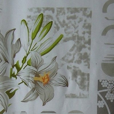 Mirtex Plátno DOMESTIK 145/13702-1 velké květy šíře 220cm / METRÁŽ NA MÍRU Ceník: METRÁŽ: od 1 metrů