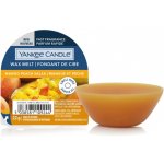 Yankee Candle vonný vosk do aroma lampy Mango Peach Salsa 22 g – Zboží Mobilmania