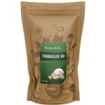 Protein&Co. Tribulus 90 60 tablet – Zboží Dáma
