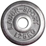 KUBIsport Kotouč chrom 1,25 kg 30 mm – Hledejceny.cz