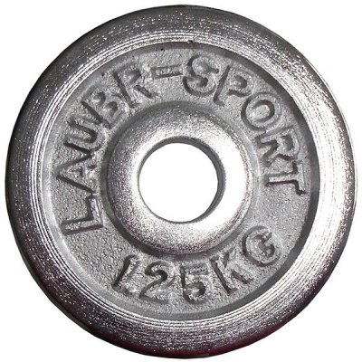 KUBIsport Kotouč chrom 1,25 kg 30 mm – Hledejceny.cz