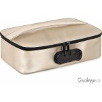 Cestovní pouzdro na erotické pomůcky Discreet box – Sleviste.cz