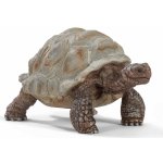 Schleich 14824 Wild Life Giant tortoise – Zboží Dáma