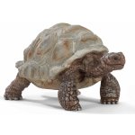 Schleich 14824 Wild Life Giant tortoise – Hledejceny.cz