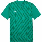 Puma TEAMGLORY jersey pánský fotbalový dres zelená – Zboží Dáma