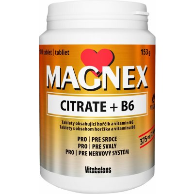 Magnex Citrate 375mg+B6 100 chew tablet – Hledejceny.cz