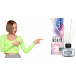 Clinex Scent Sticks vonné tyčinky Hipnotic 45 ml – Hledejceny.cz