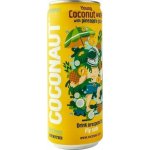 Coconaut Kokosová voda s ananasovou šťávou 320 ml – Hledejceny.cz