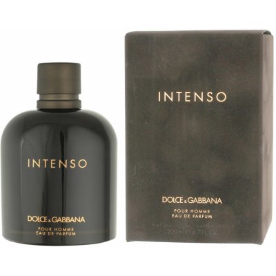 Dolce & Gabbana Intenso parfémovaná voda pánská 200 ml od 1 567 Kč -  Heureka.cz