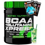 Scitec Nutrition BCAA + Glutamine Xpress 300 g – Hledejceny.cz