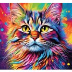 Norimpex diamantový obrázekKočka v barvách 30x40cm – Hledejceny.cz