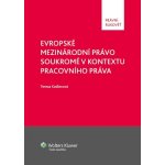 Evropské mezinárodní právo soukromé v kontextu pracovního práva – Hledejceny.cz
