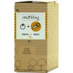 Moštuj Mošt Jablko a Mrkev 5 l – Zboží Dáma