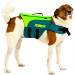 Jobe Pet Vest Lime Teal M – Sleviste.cz