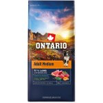 Ontario Adult Medium Lamb & Rice 12 kg – Hledejceny.cz