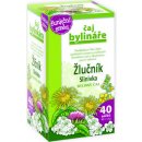 Bylinář Váňa Žlučník a slinivka čaj 40 x 1.6 g