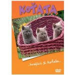 Koťata DVD – Sleviste.cz