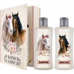 Bohemia Gifts O koních a lidech sprchový gel 200 ml + šampon na vlasy 200 ml kniha dárková sada – Zboží Mobilmania