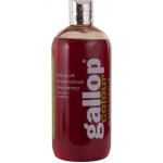CARR&DAY&MARTIN Gallop Colour Šampon pro hnědáky 500 ml – Zboží Dáma