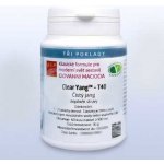 Giovanni Maciocia T40 Čistý jang Clear Yang 60 tablet á 500 mg – Hledejceny.cz