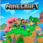 Minecraft: Java & Bedrock Collection – Zboží Dáma