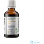 Dědek kořenář Novy Zlatobýlová směs ULK+ 50 ml – Hledejceny.cz