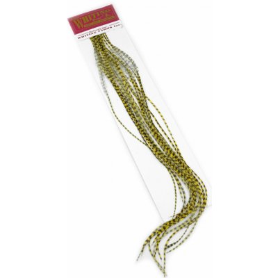 Whiting Hackles Whiting Kohoutí Peří 100 Pk Grizzly Dyed Pale Yellow #14 – Hledejceny.cz