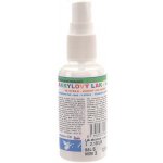 Anděl Lak akrylový v rozprašovači lesklý 50 g 6128 – Hledejceny.cz