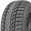 Diplomat Winter HP 225/45 R17 94V