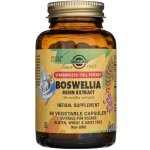 Solgar SFP Boswellia Resin Extract 60 veg. kapslí – Hledejceny.cz