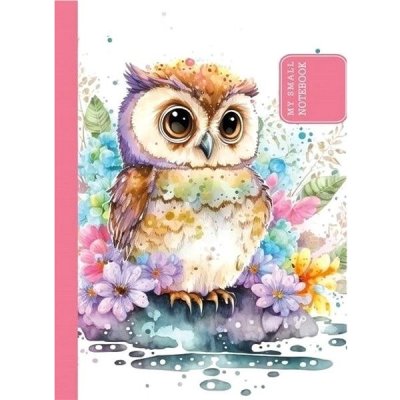 Ditipo Sketchbook Art Sova 10,5 × 14,8 cm – Zboží Mobilmania